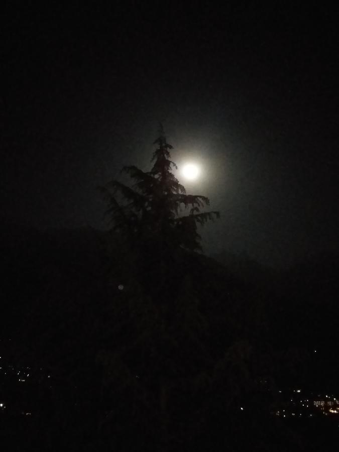 Hotel Seven Hills Manali Eksteriør bilde
