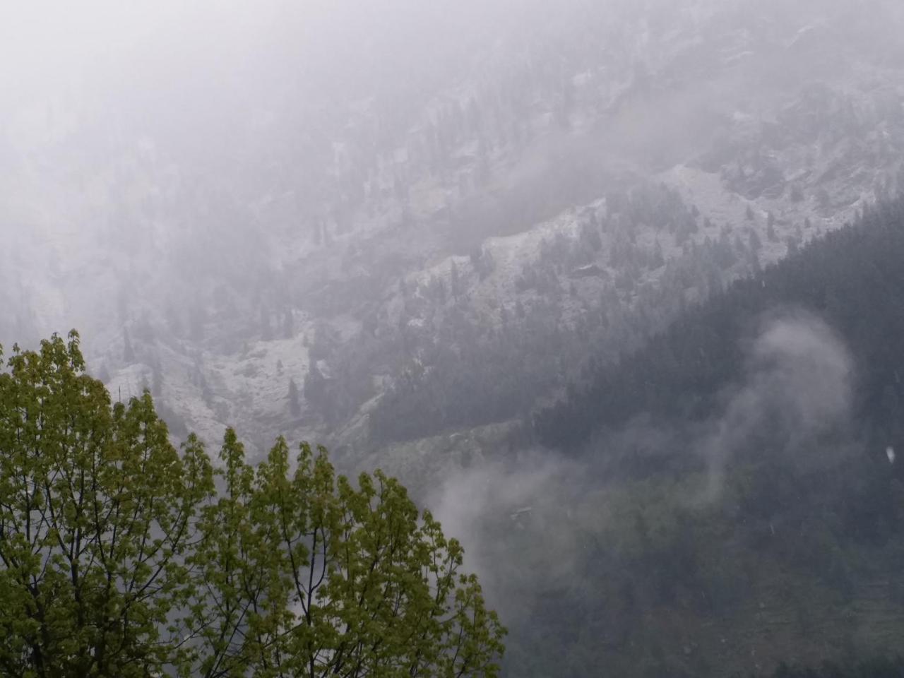 Hotel Seven Hills Manali Eksteriør bilde